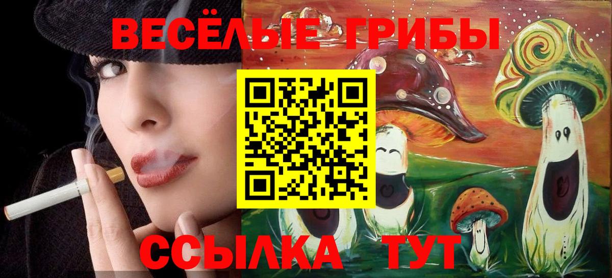Галлюциногенные грибы MAGIC MUSHROOMS Кызыл